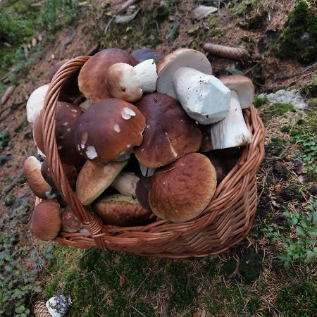 Hostinec U Pejska A Kocicky Marianske Lazne Luaran gambar